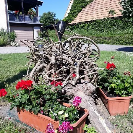 Fewo Hoyer * Hinterhermsdorf